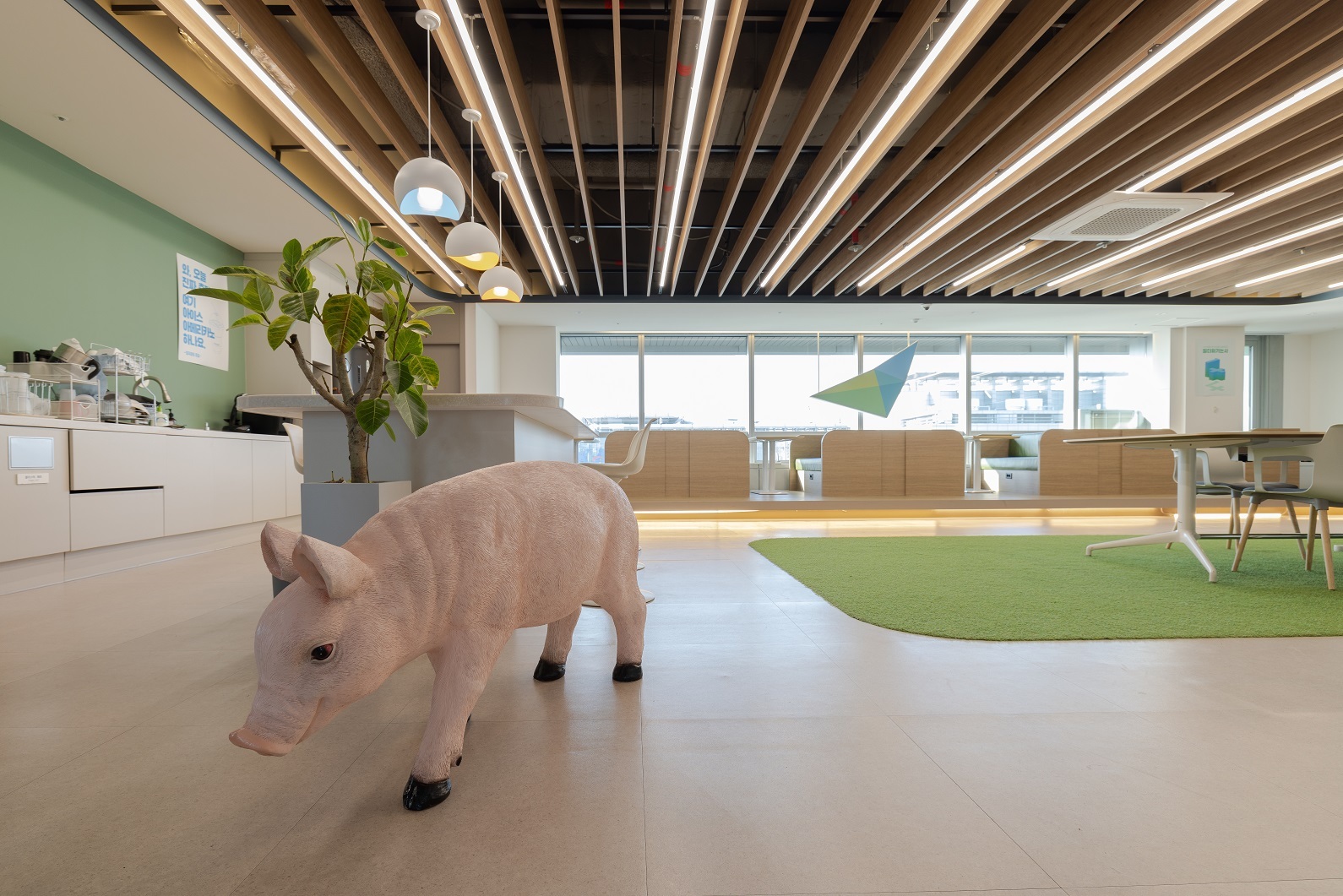 한국축산데이터 대표이미지