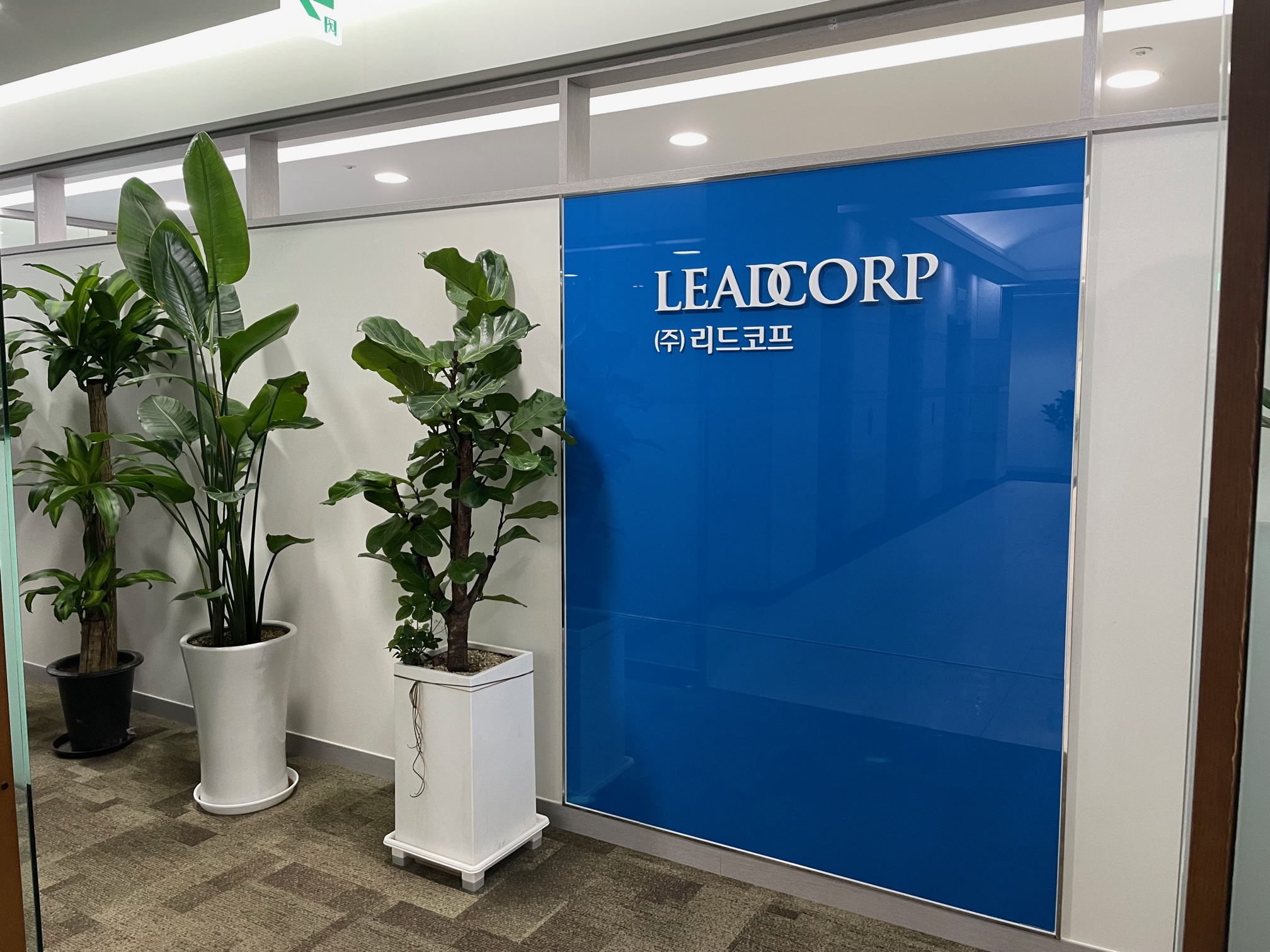 리드코프 대표이미지