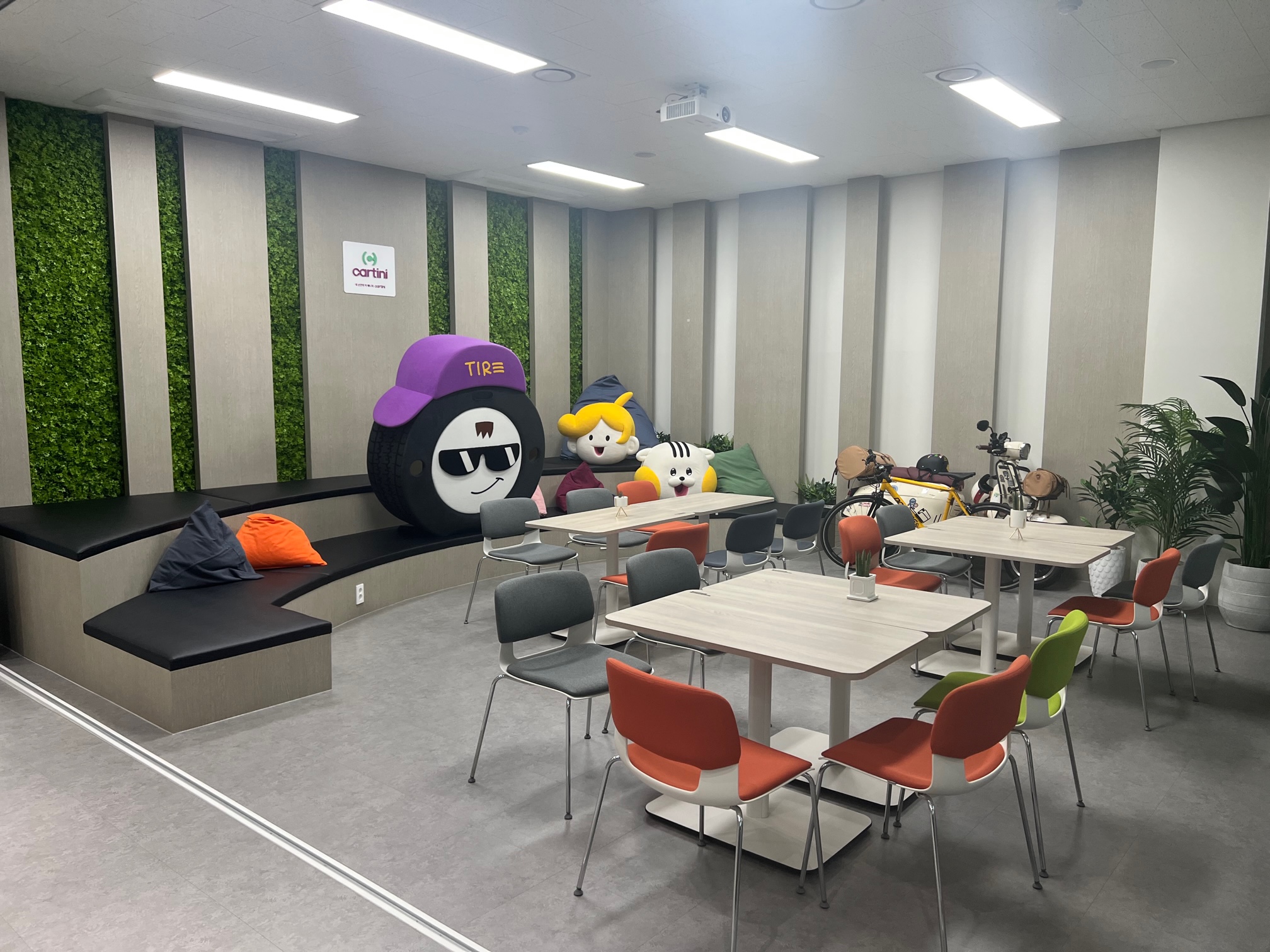 카티니 대표이미지