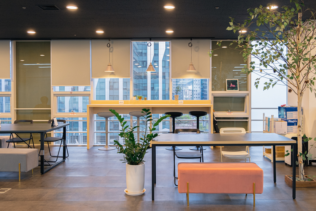 미리디 대표이미지