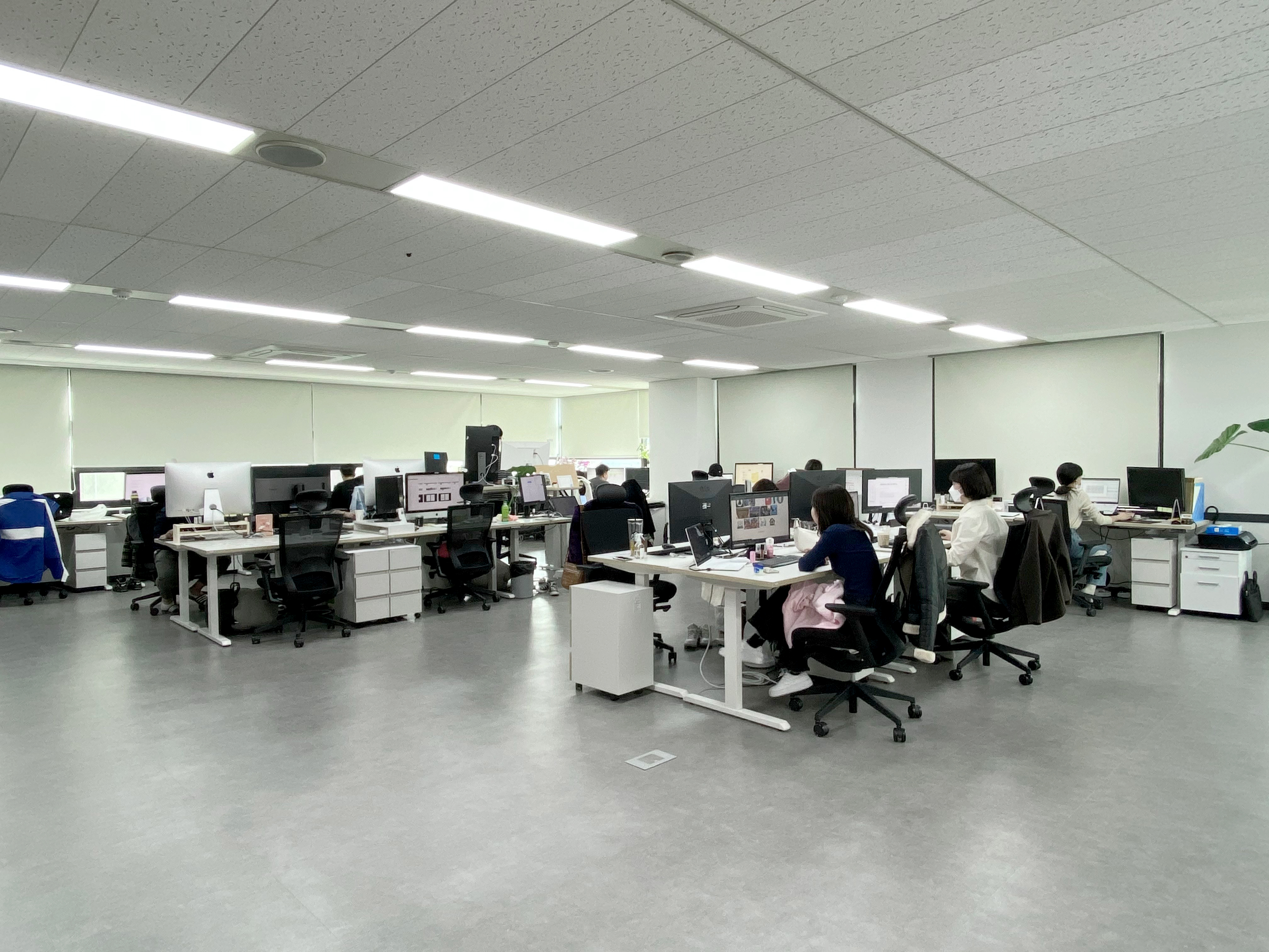 (주)샤플앤컴퍼니 대표이미지