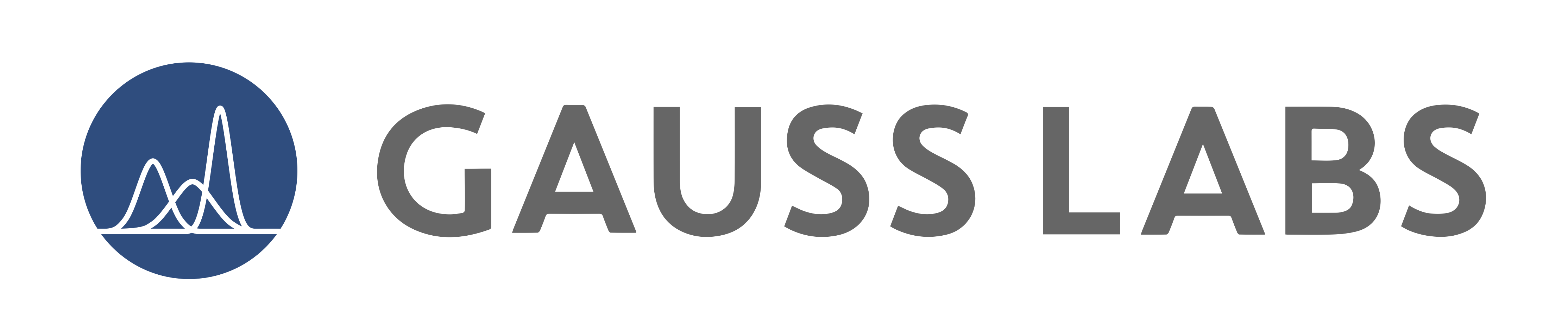 Gauss Labs 대표이미지