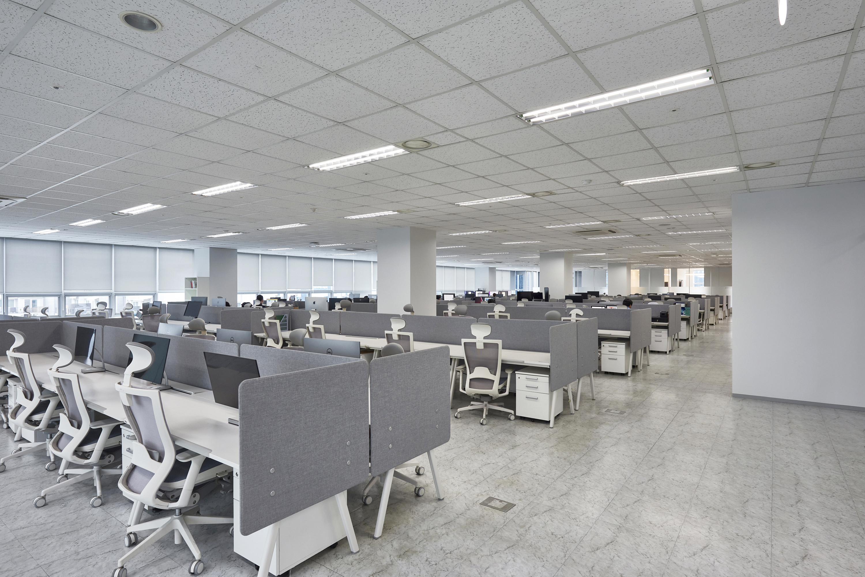 마켓보로 대표이미지