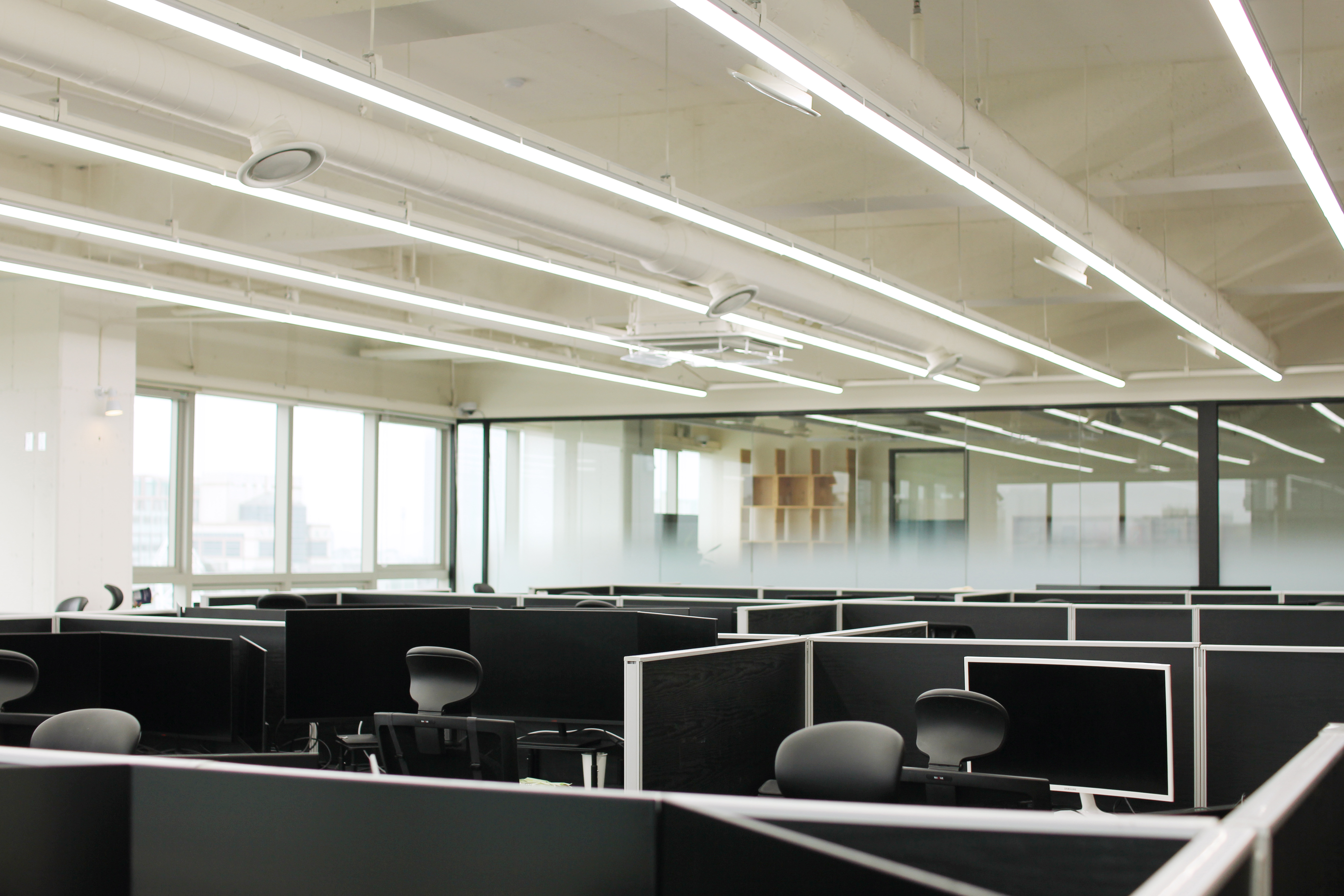 스마일드래곤 대표이미지