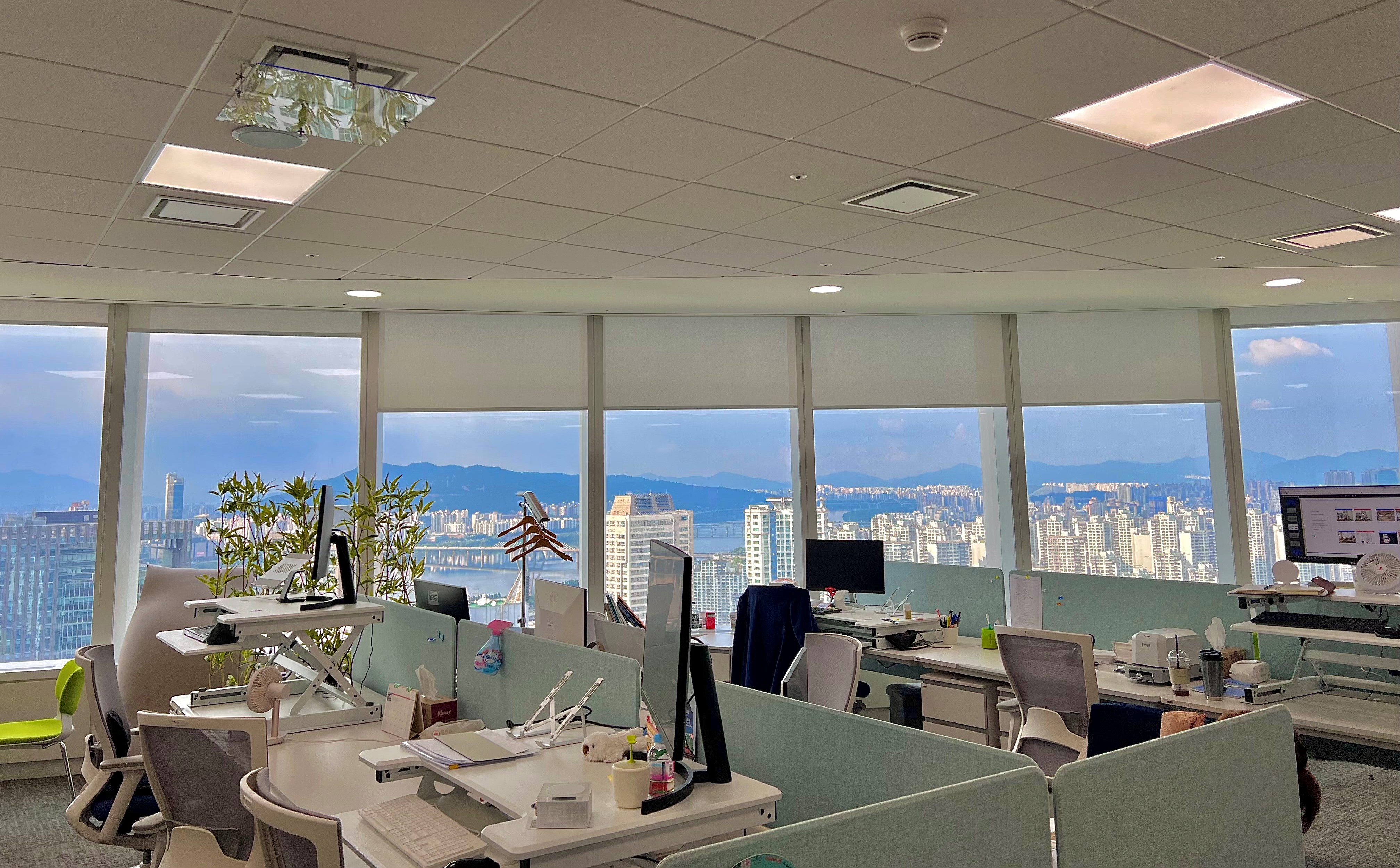 롯데헬스케어 주식회사 대표이미지