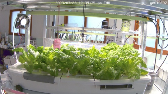 온엣 대표이미지