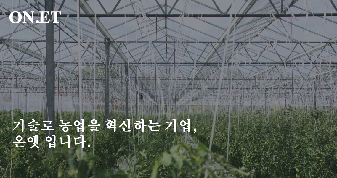 온엣 대표이미지