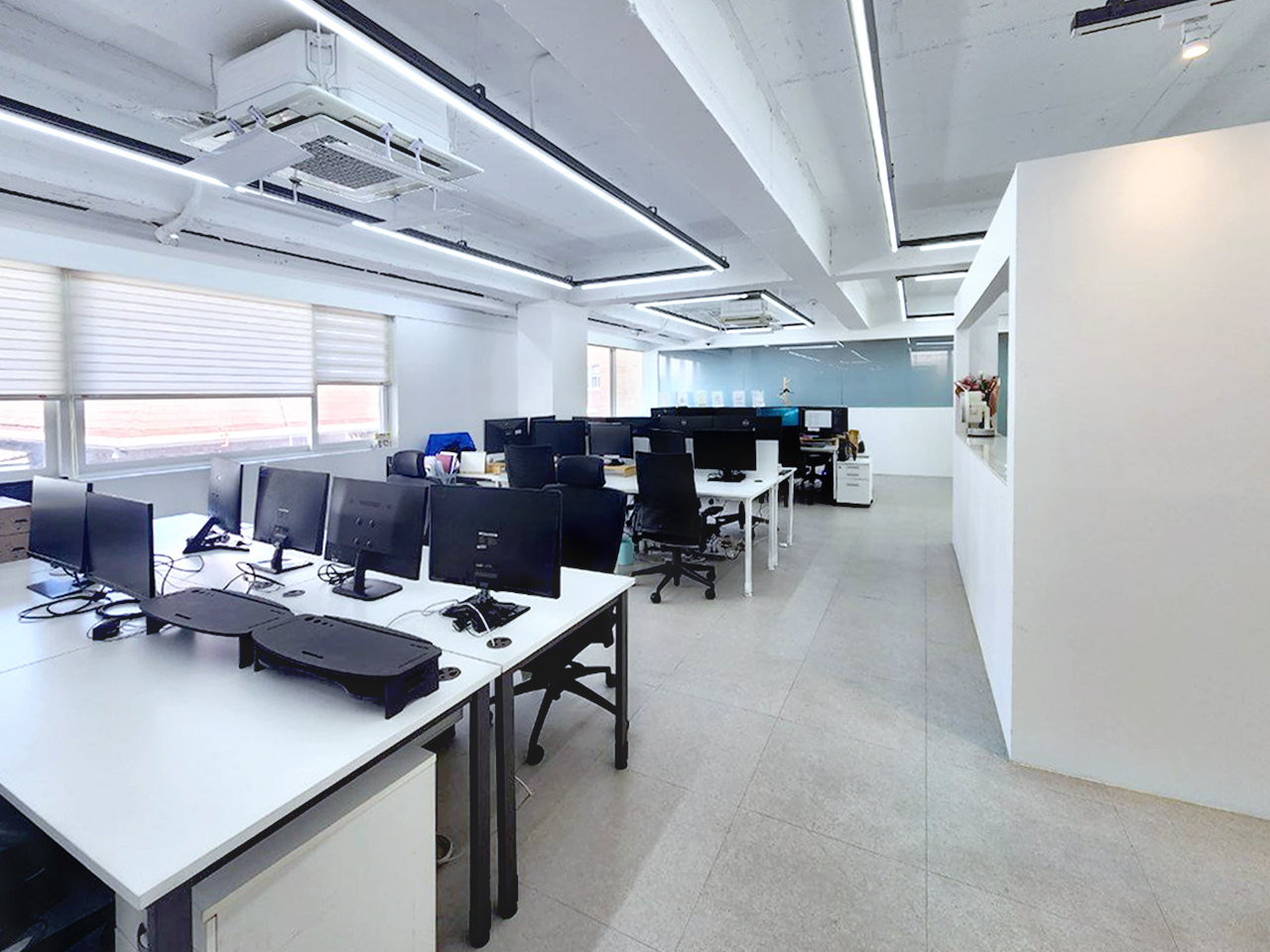 세이프닥 대표이미지