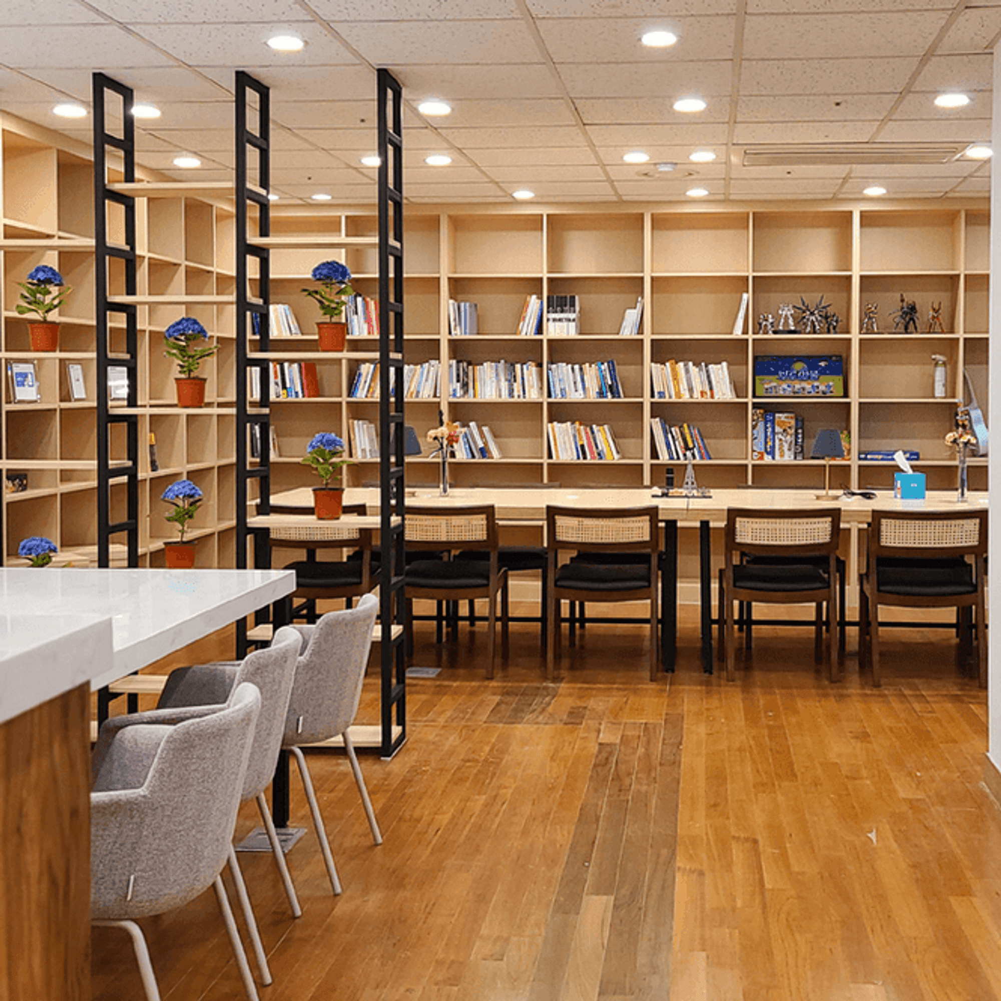 폰비 대표이미지