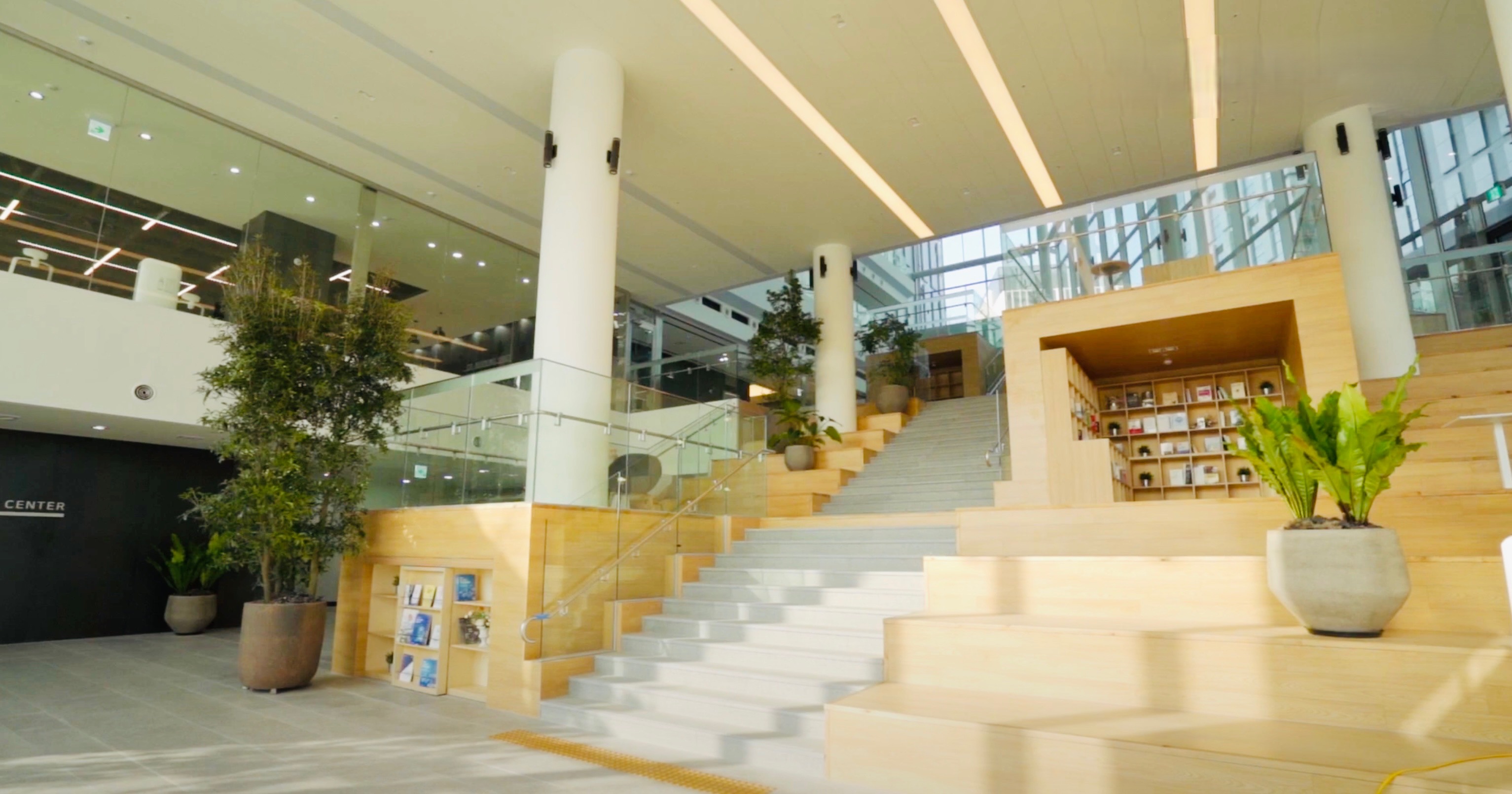 홀리키위 대표이미지