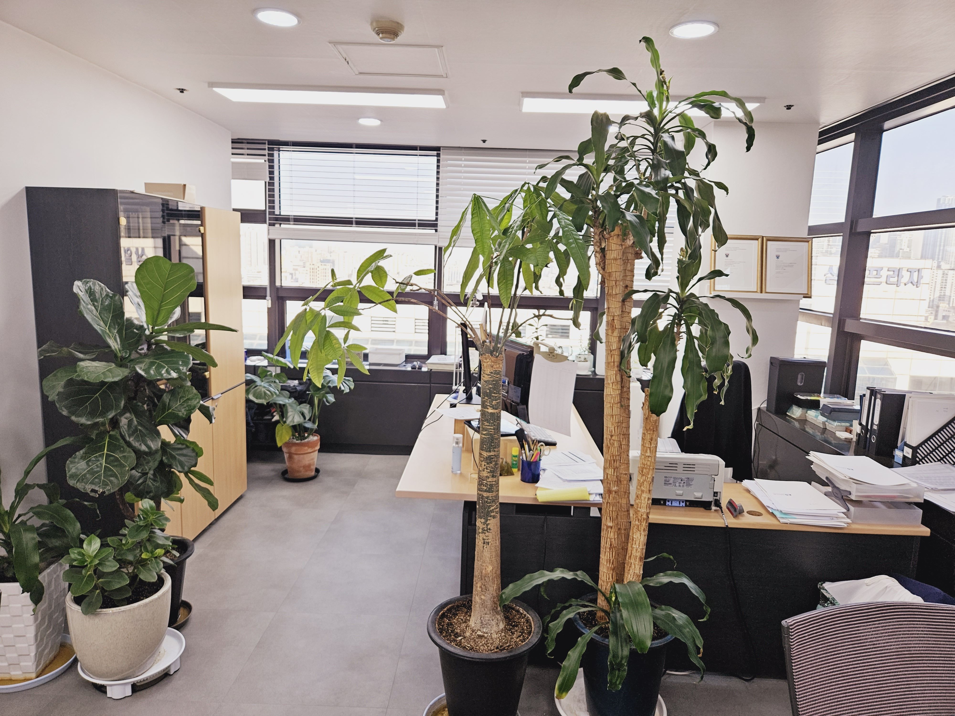 주식회사 아인잡 대표이미지