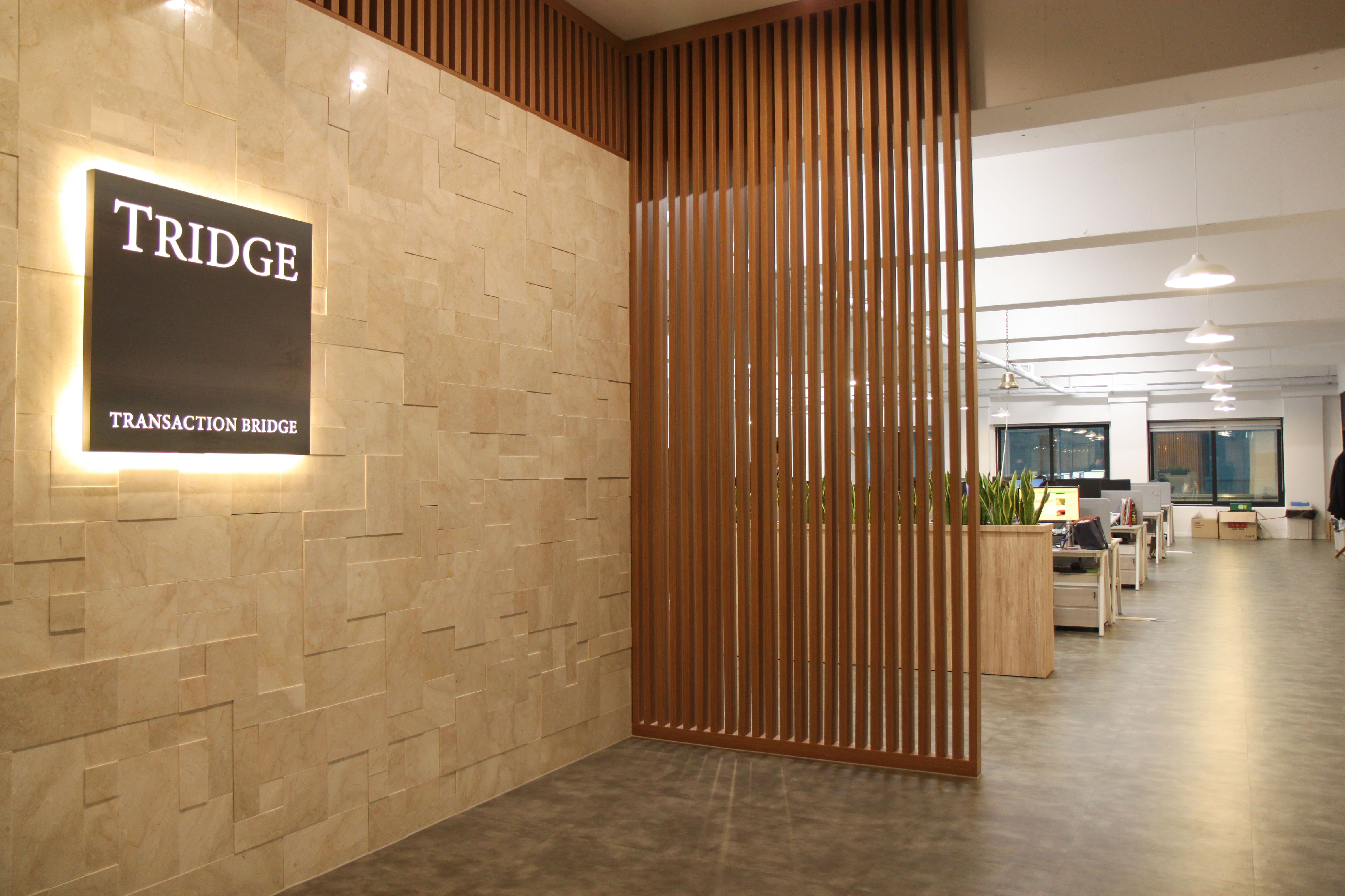 트릿지 대표이미지