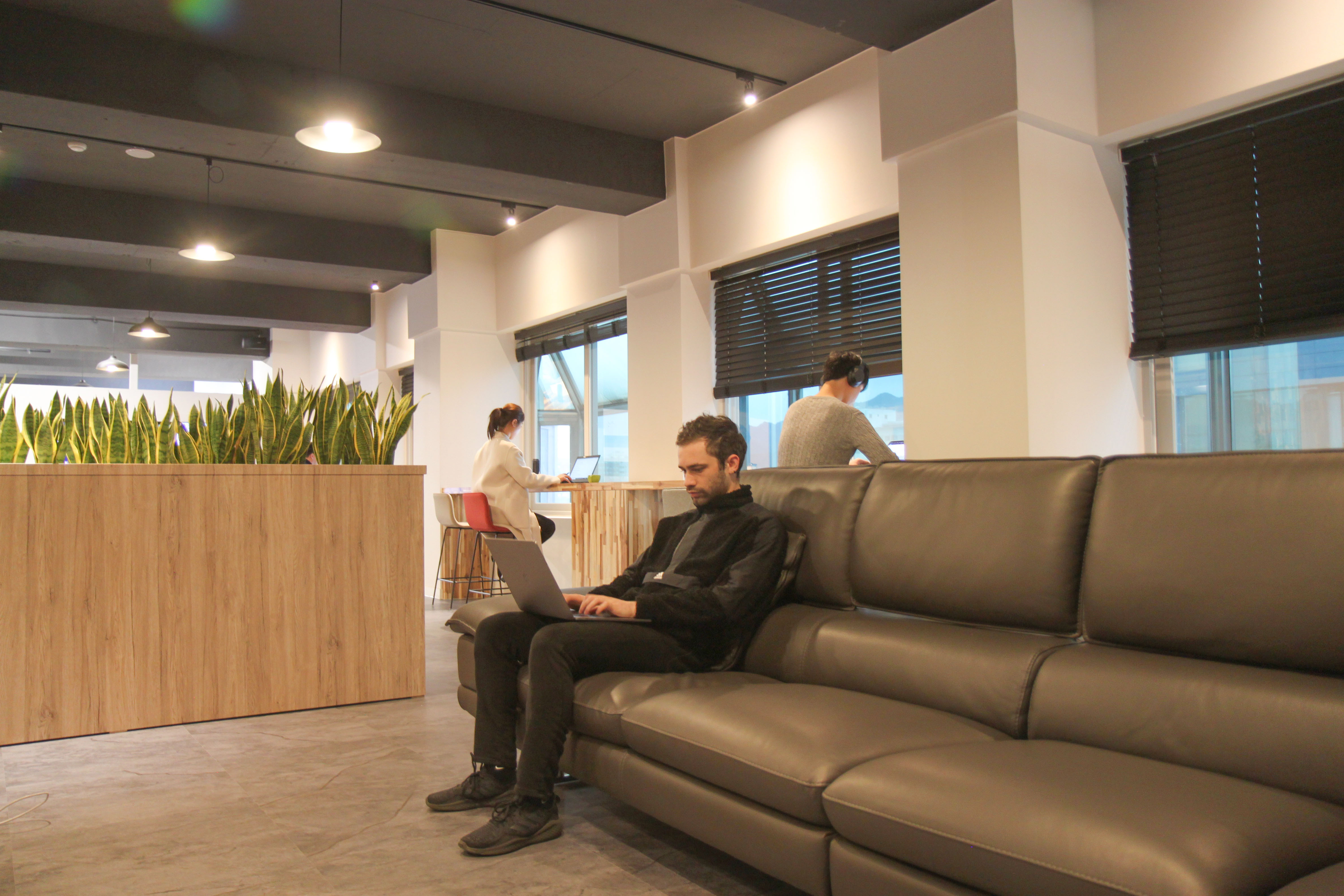 트릿지 대표이미지