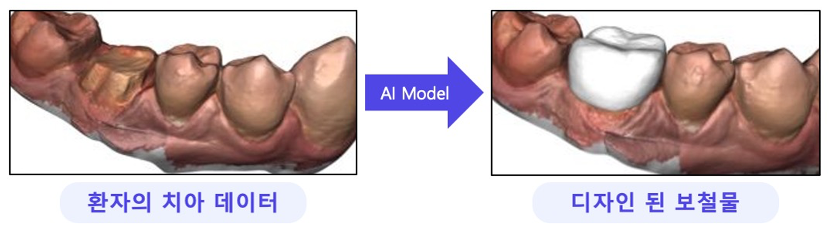 Steinfeldco 대표이미지