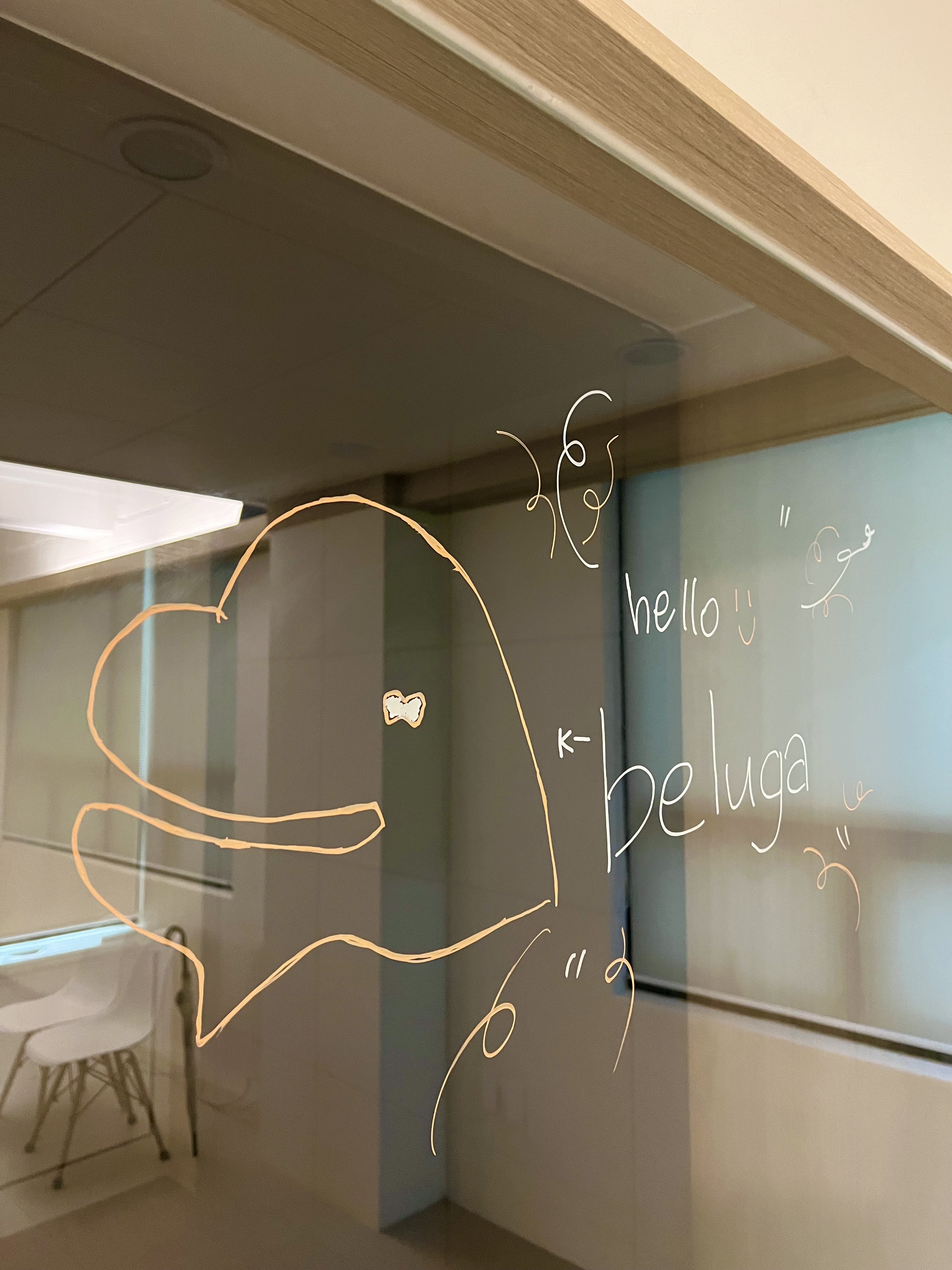 Steinfeldco 대표이미지