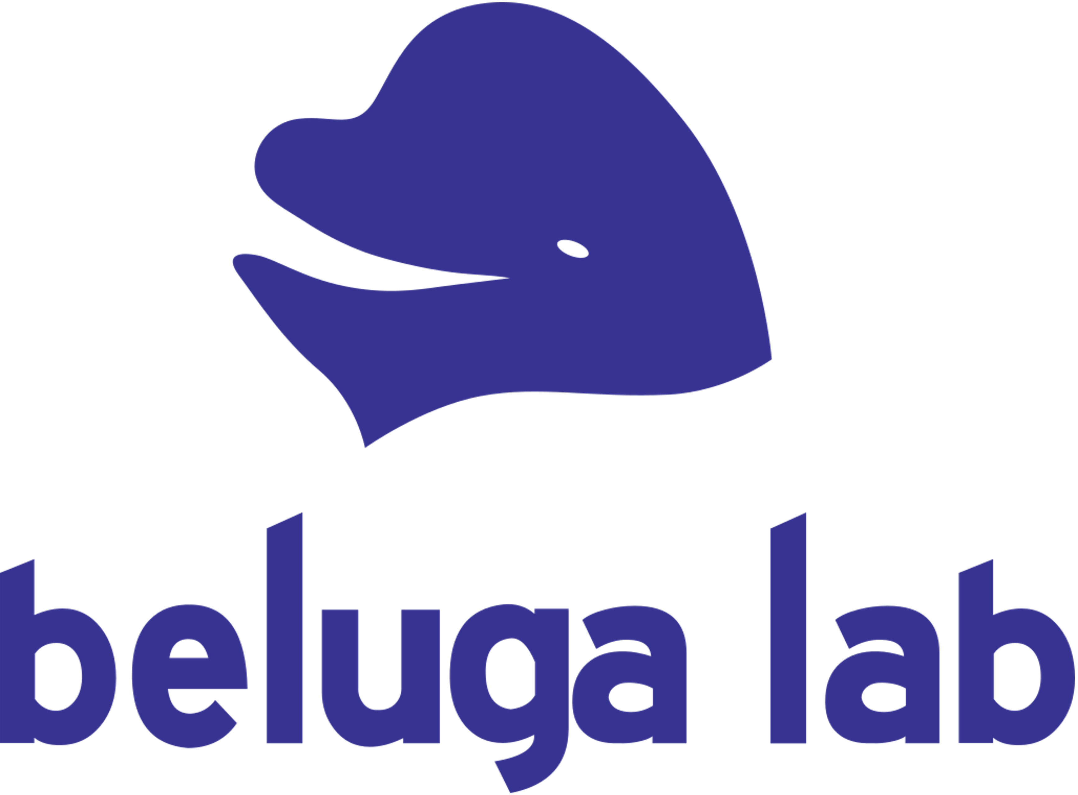 Steinfeldco 대표이미지