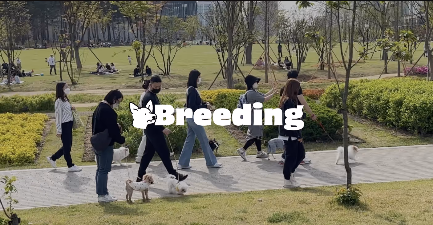 회사 대표 이미지