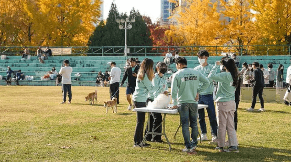 주식회사 브리딩 대표이미지