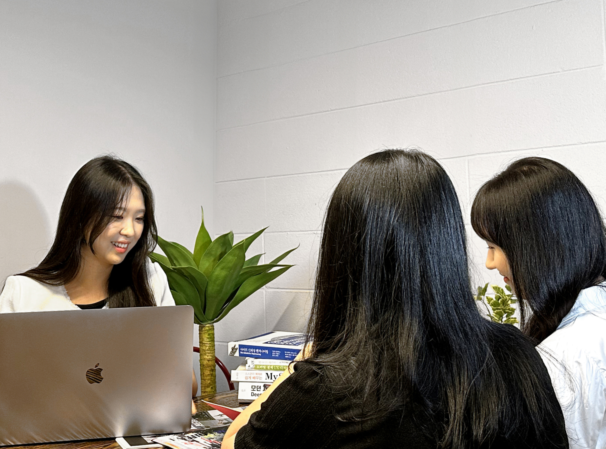 브리치 대표이미지