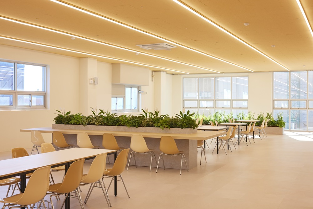 메이튼 대표이미지