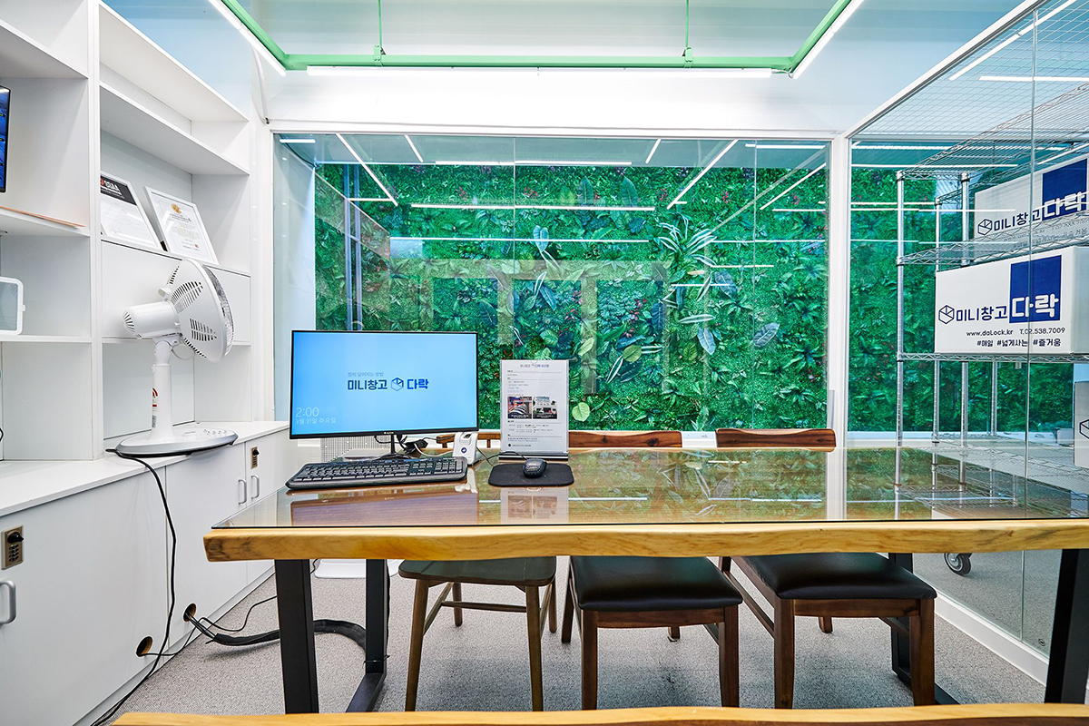 세컨신드롬 대표이미지