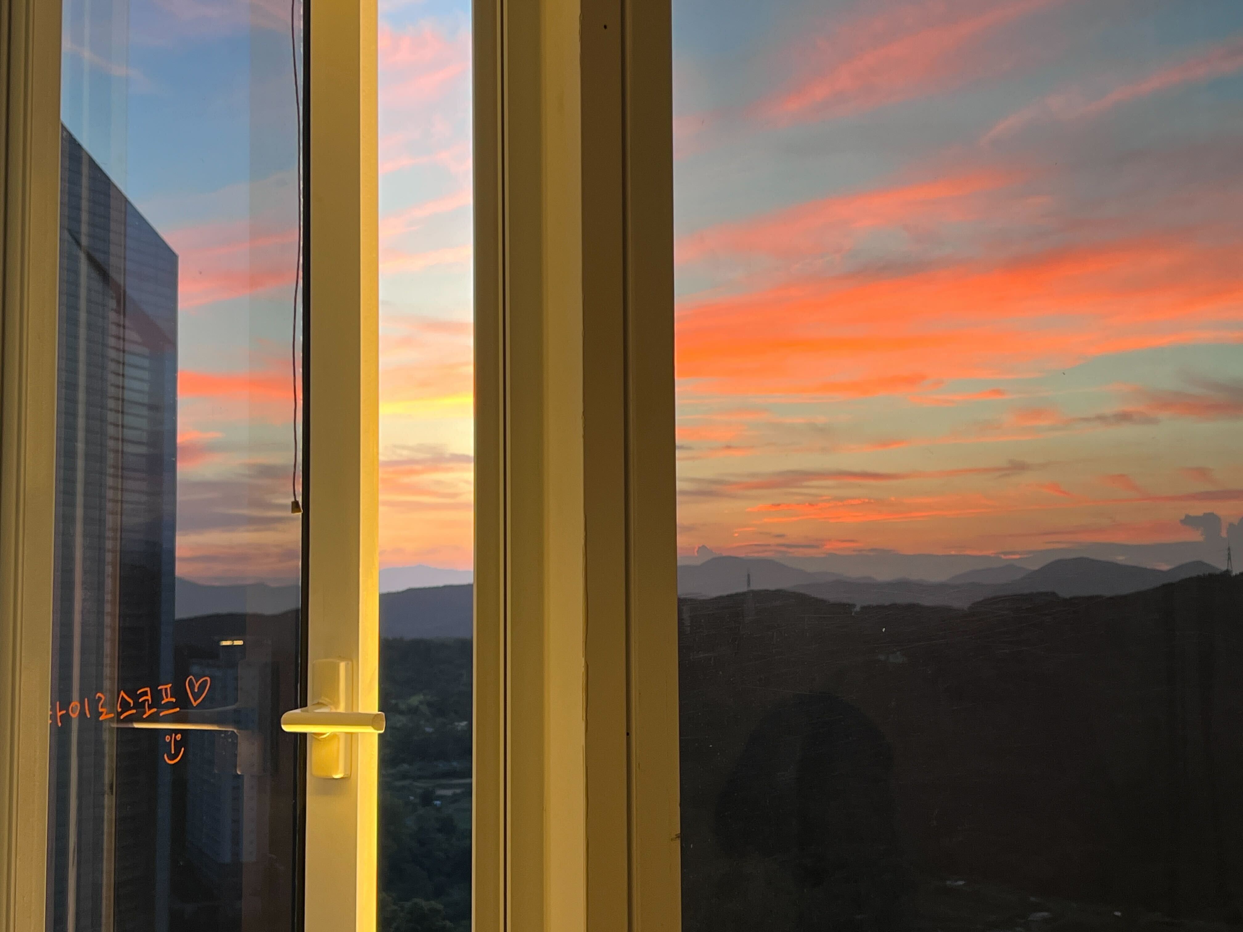 타이로스코프 대표이미지