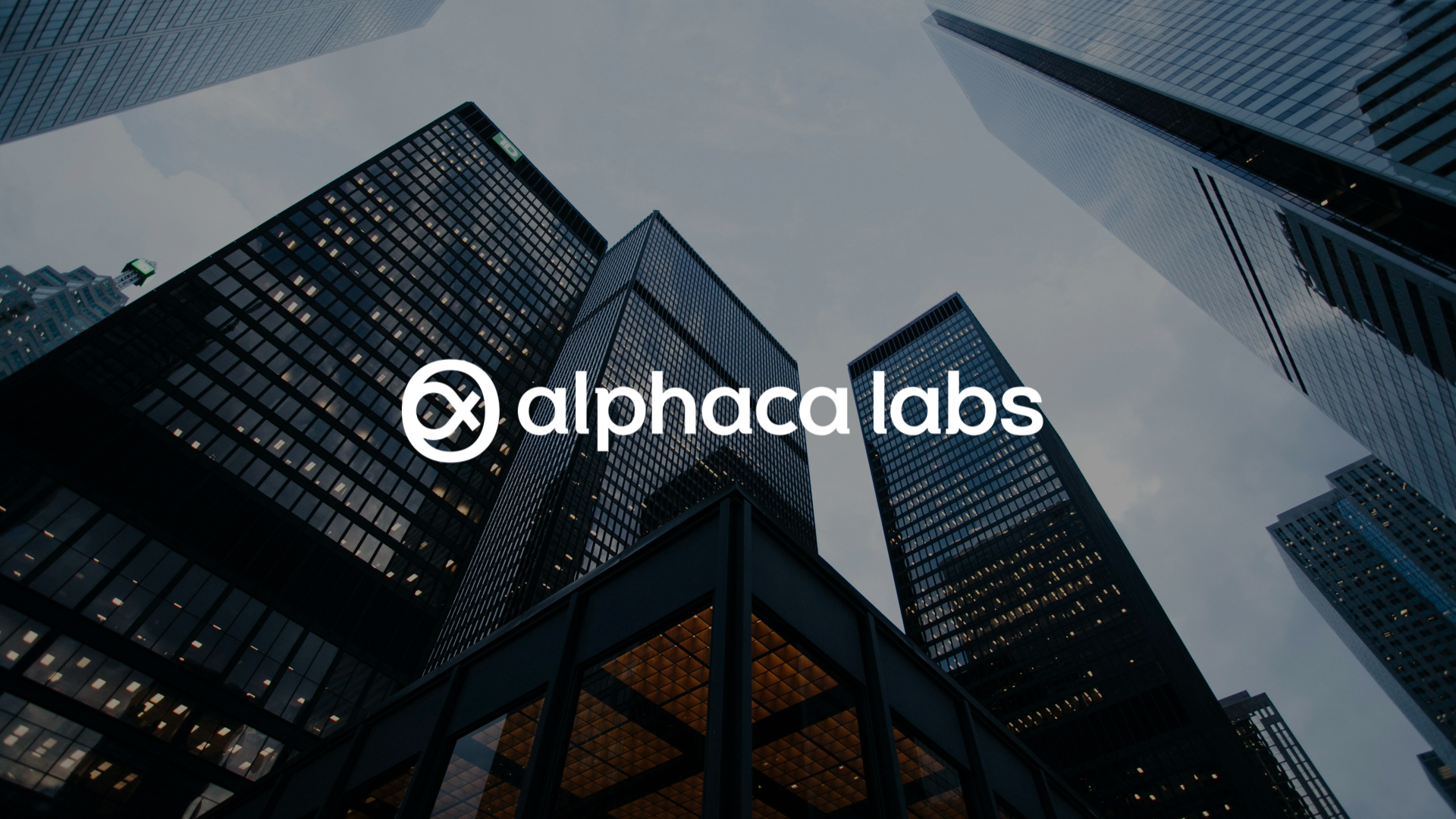 알파카랩스 대표이미지