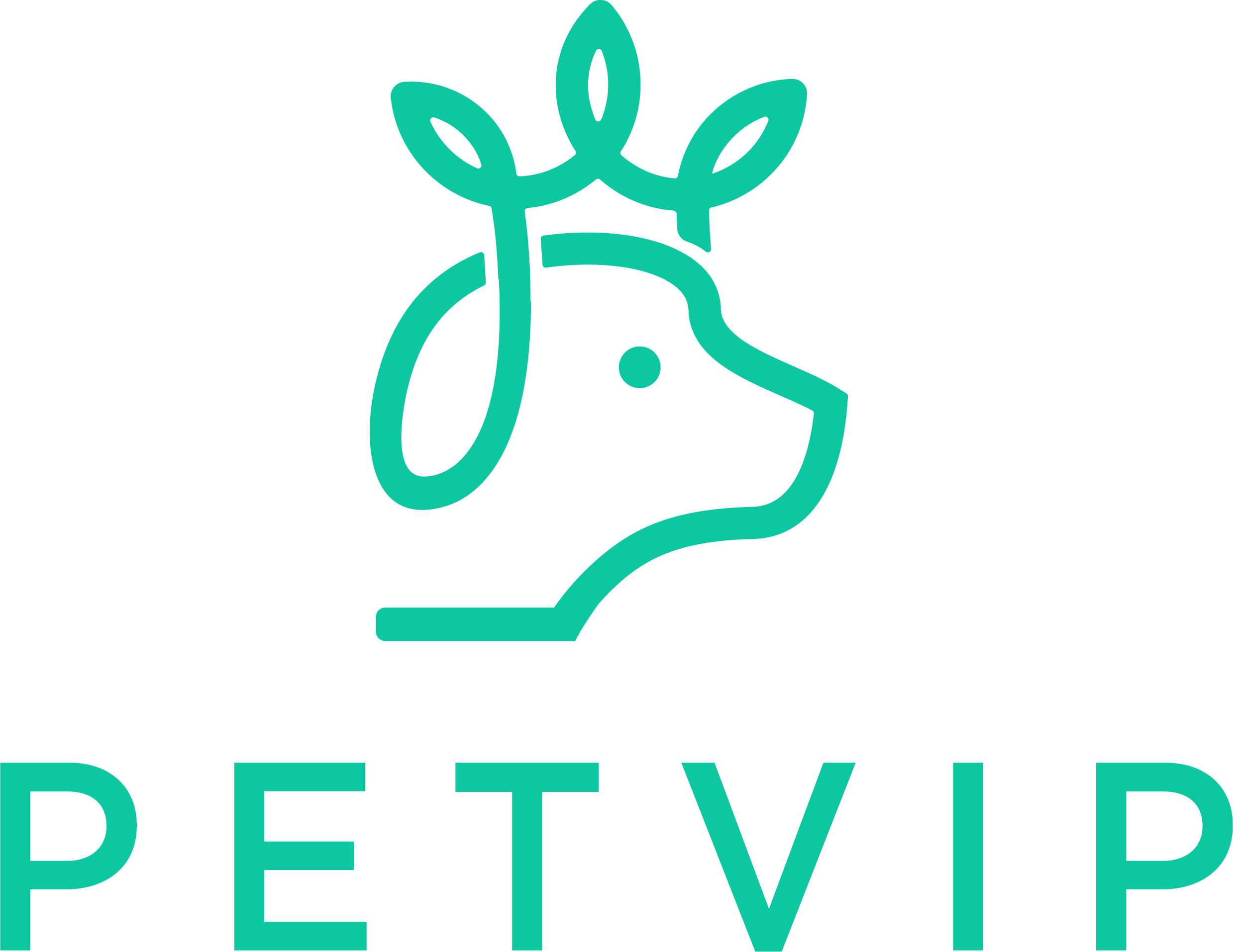 브이아이펫 대표이미지