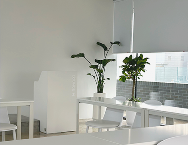 (주)레이모웍스 대표이미지