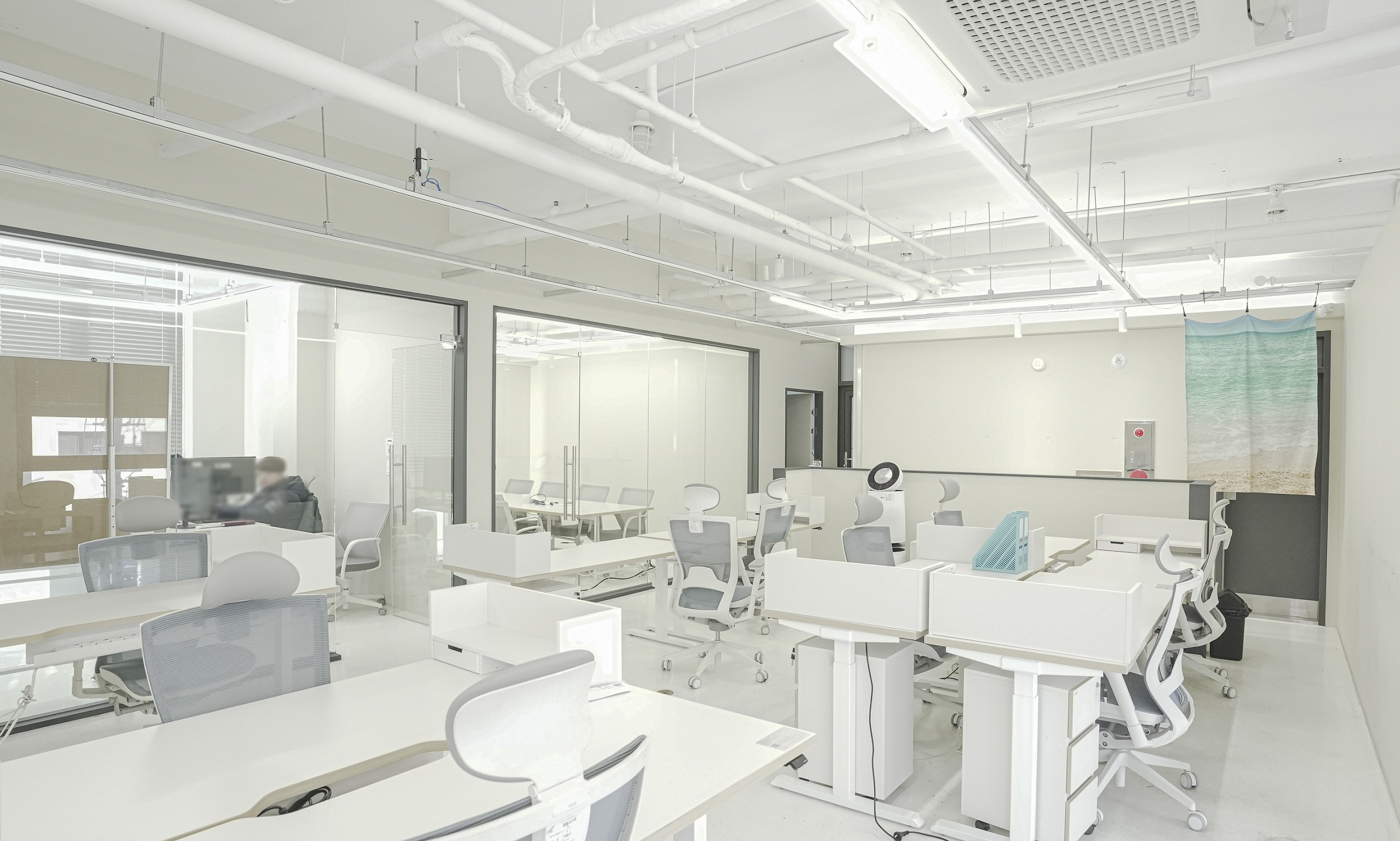 (주)퍼플페퍼 대표이미지