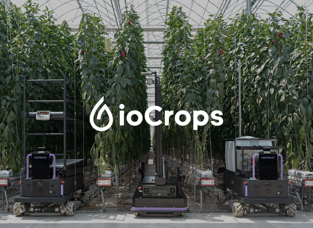 회사 대표 이미지