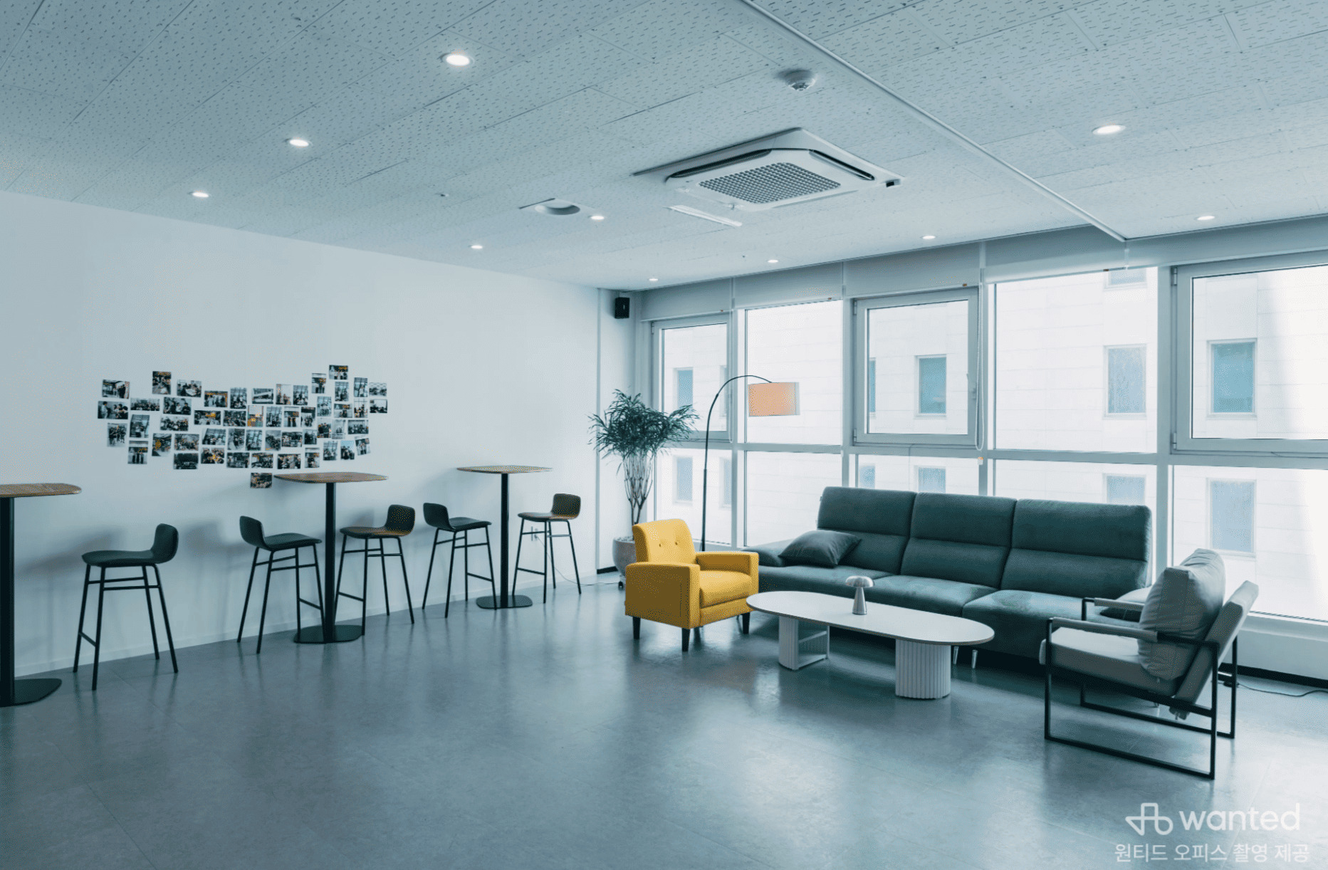 씨드앤 대표이미지