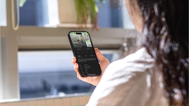 키노라이츠 대표 이미지