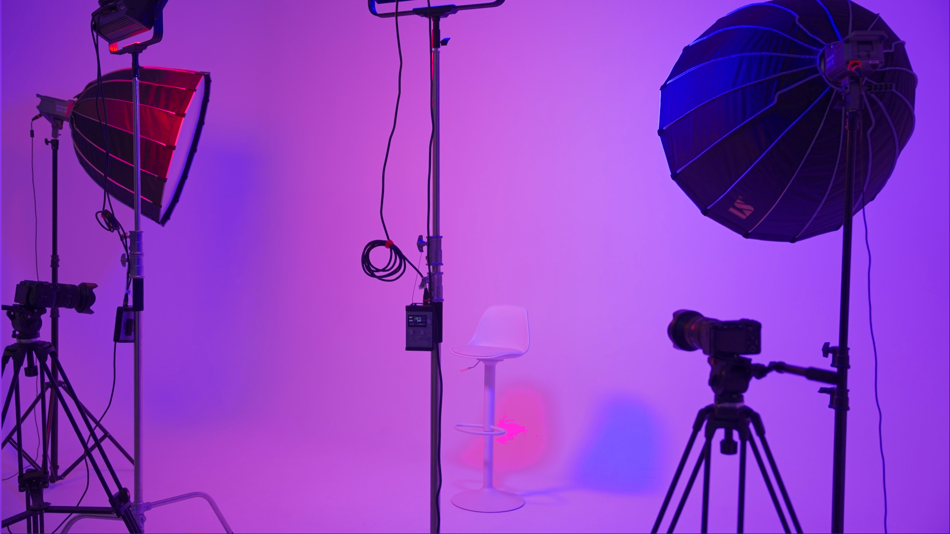 스틸더쇼(Steal The SHOW) 대표이미지