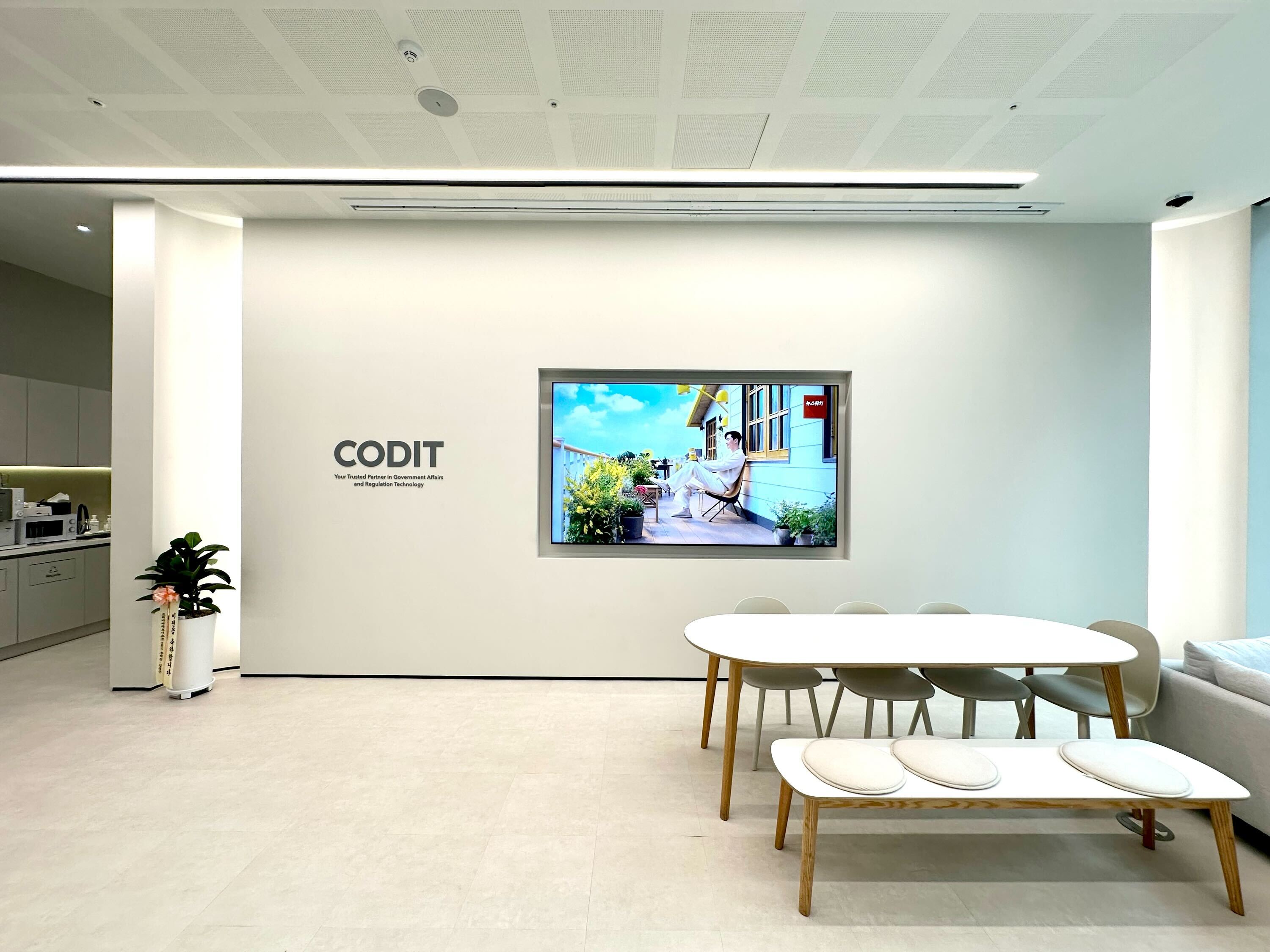 코딧 대표이미지